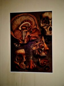 Gallery image 6