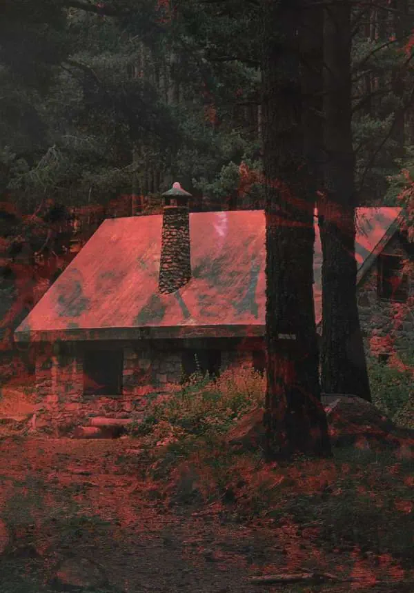 Cabin Fever